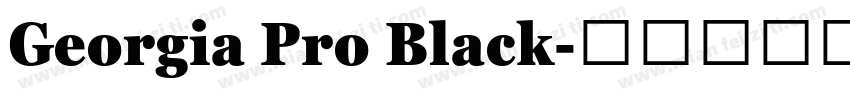 Georgia Pro Black字体转换